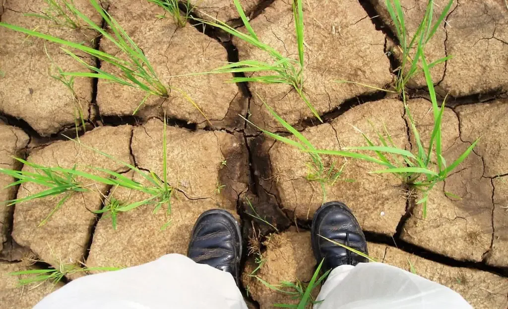 NGFS Warns Climate Shocks Could Rewrite Monetary Policy Across Vulnerable Global Economies