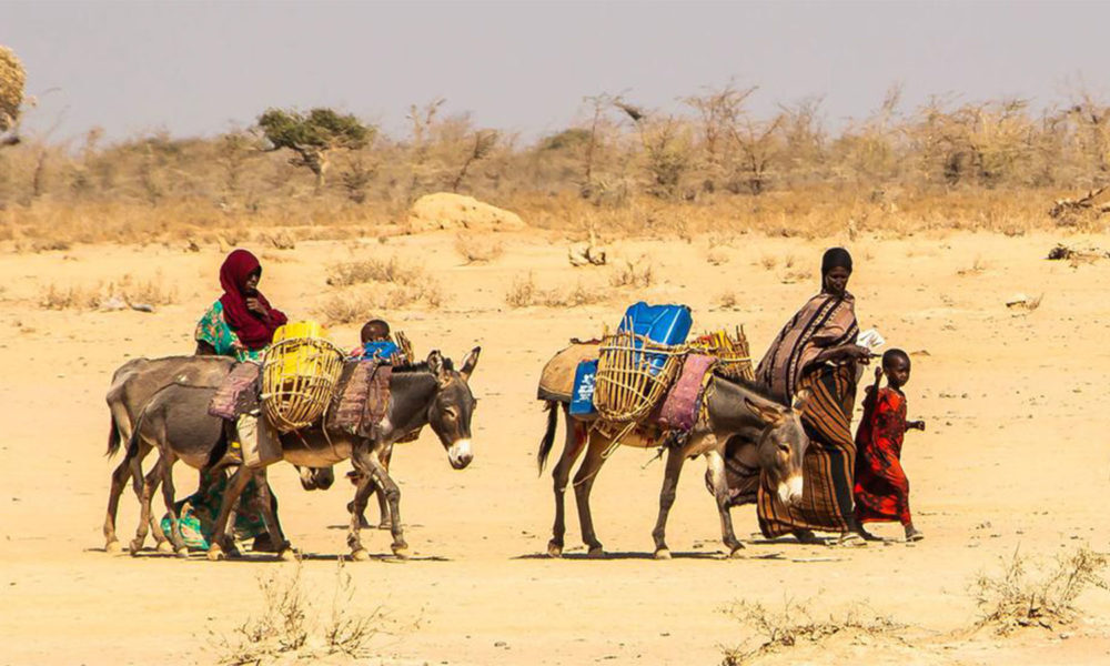 Water Scarcity Is Driving Hunger Across Africa as Climate Extremes Intensify