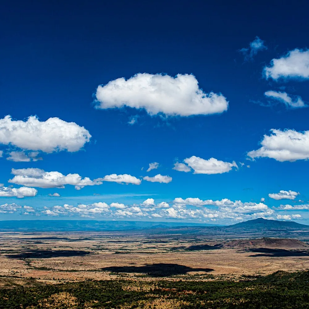East Africa's Energy Transition: Financing, Policy, and Power Shape the Region's 2026 Outlook