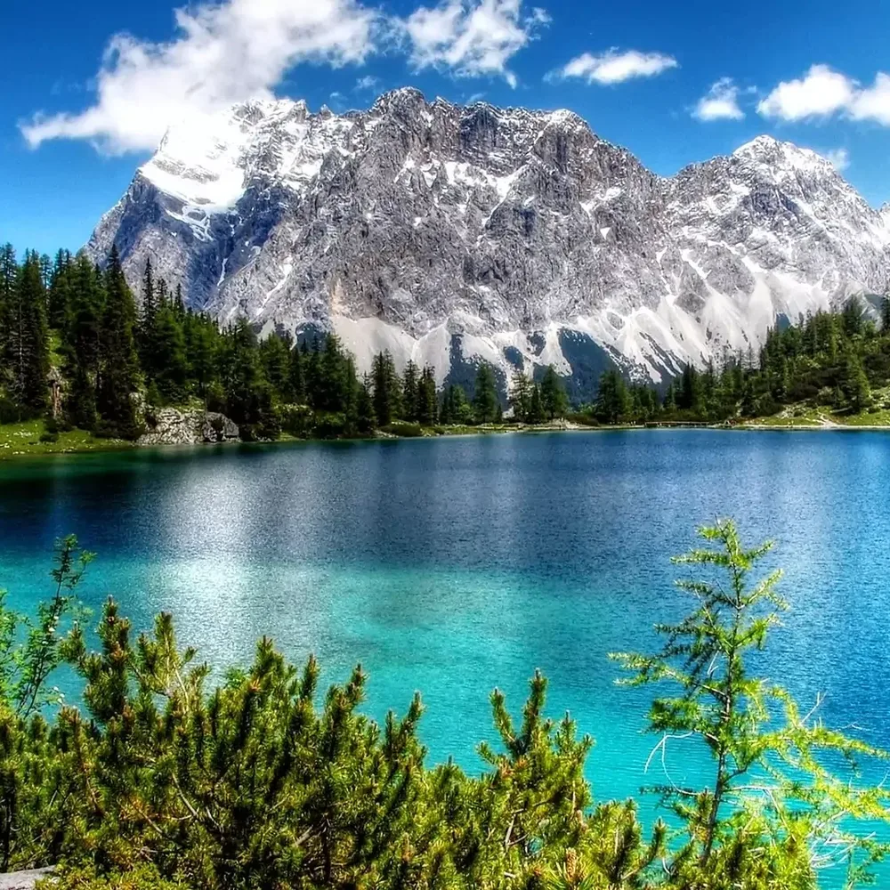 Climate Innovation Festival (CIFE)