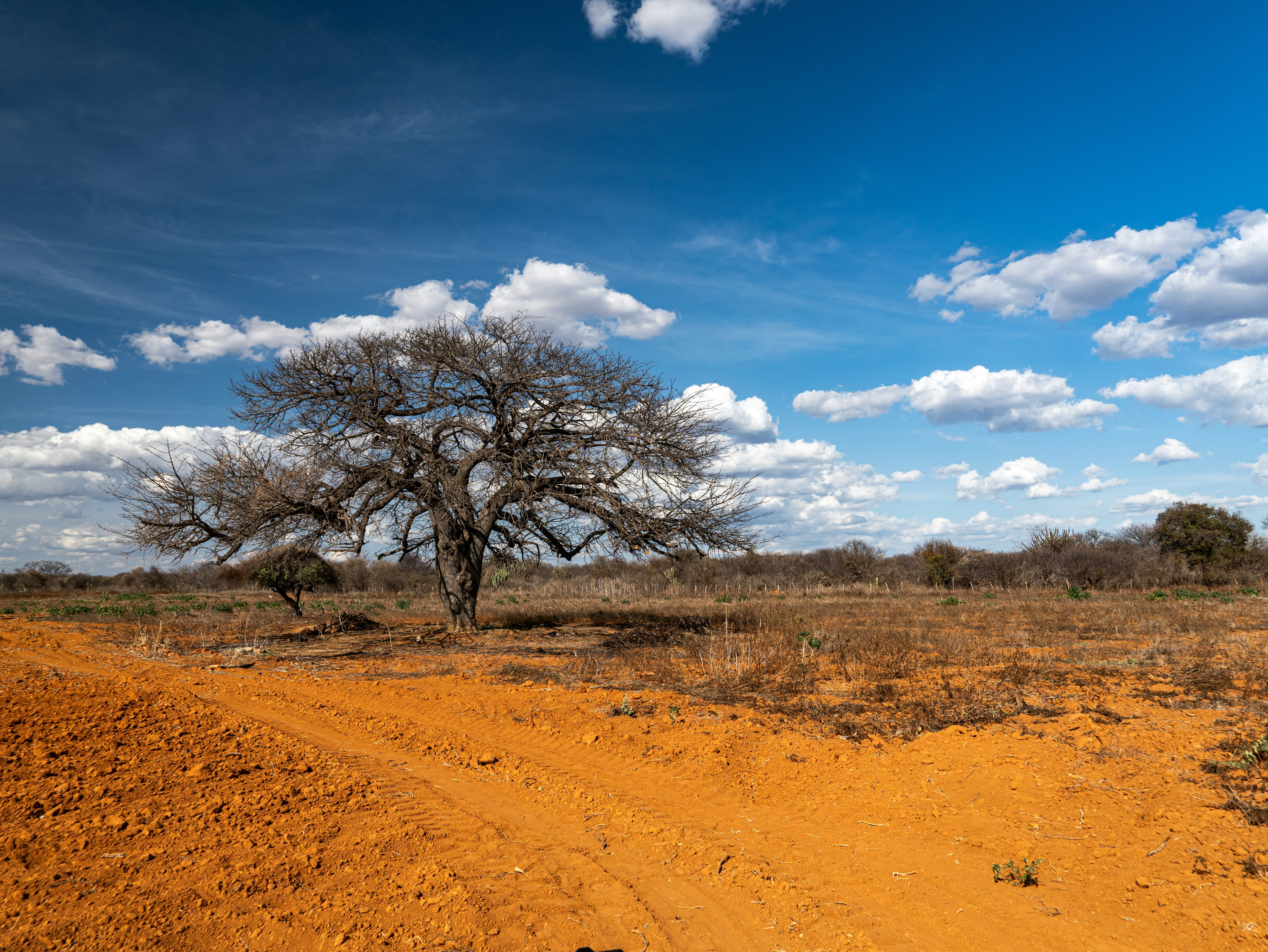 How Finance Can Drive Climate Action That Protects Workers, Communities and Vulnerable Populations